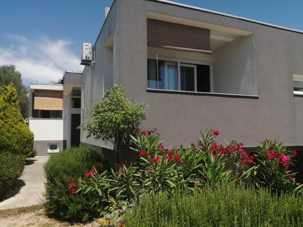 Apartments Dora 2 Bibinje Exterior foto